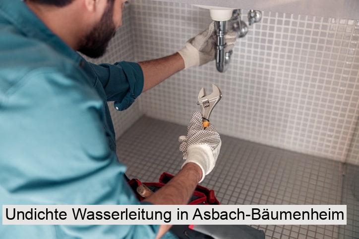 Undichte Wasserleitung in Asbach-Bäumenheim